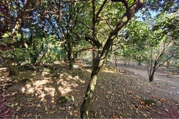 land_lot em Rua Mário Finotelli, Chácara Recreio Floresta - Jaguariúna - SP