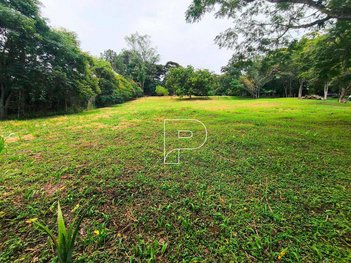 land_lot em Rua Tanger, Parque Silvino Pereira - Cotia - SP