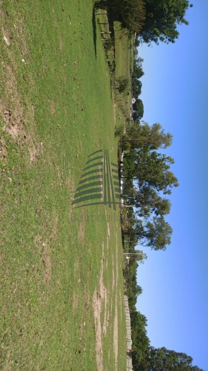 WhatsApp Image 2025-03-11 at 15.19