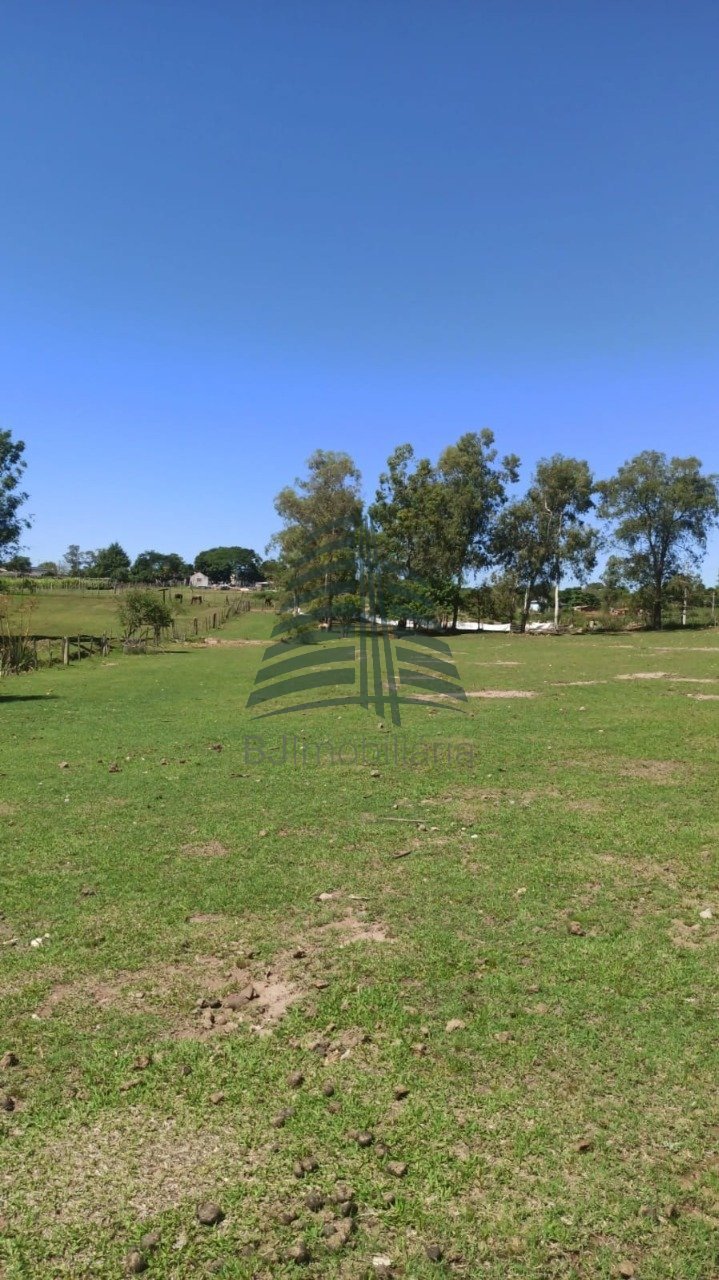 WhatsApp Image 2025-03-11 at 15.19