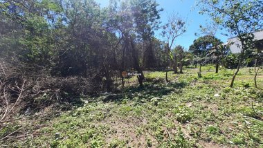 land_lot em Servidão Pedro Manoel Borba, Pântano do Sul - Florianópolis - SC