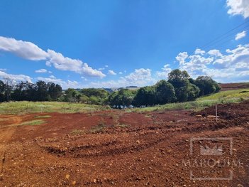land_lot em Rua D, Marau - Marau - RS