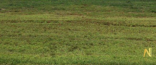 land_lot em Avenida Canaã, Loteamento Terras de Canaã - Cambé - PR