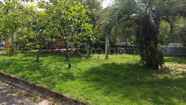 land_lot em Avenida Jacarandá, Daniela - Florianópolis - SC