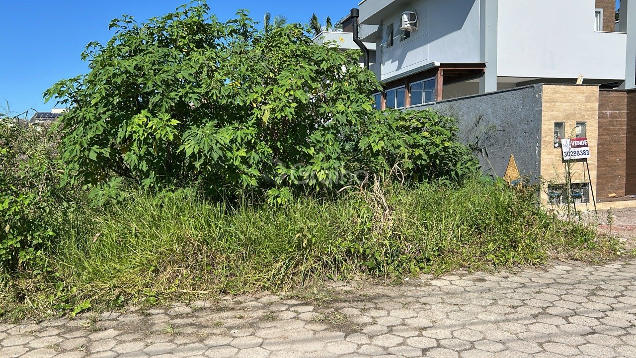 TERRENOS(2)