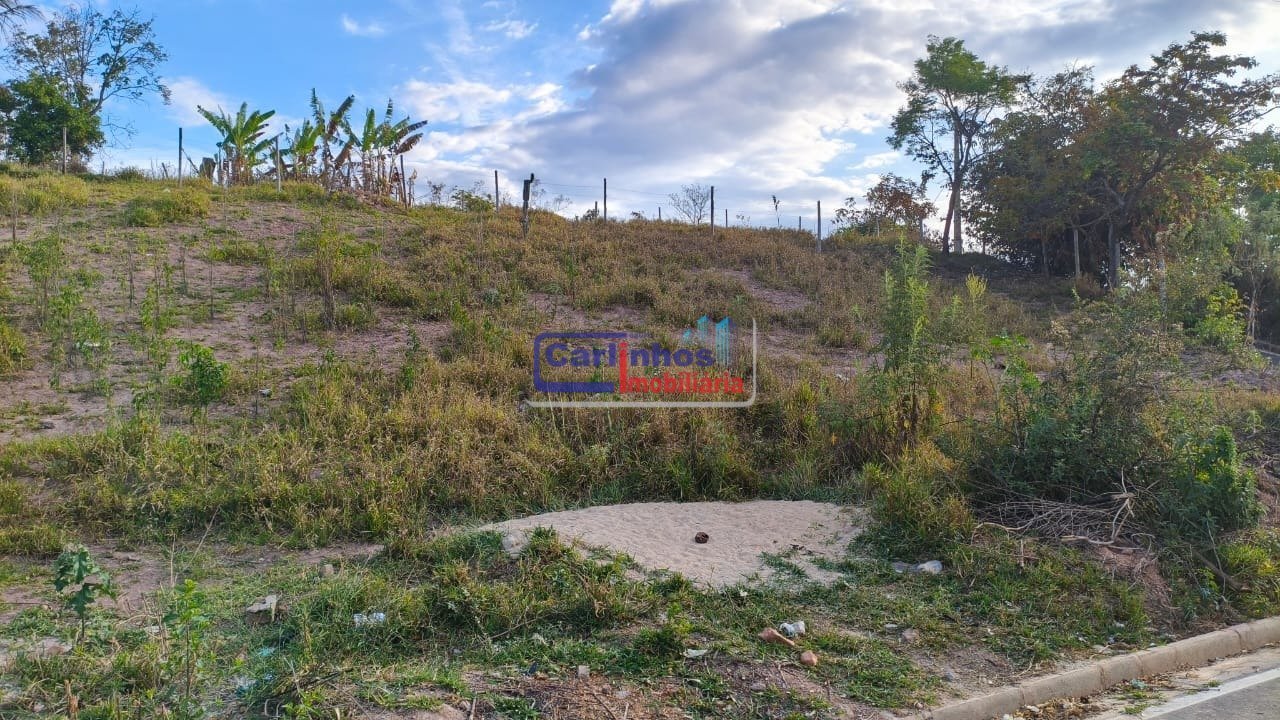 WhatsApp Image 2025-10-06 at 11.44