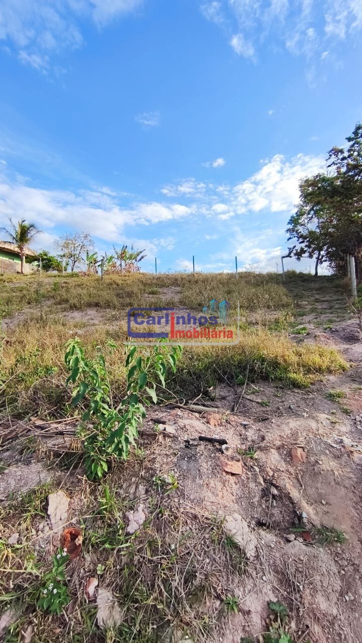 WhatsApp Image 2025-10-06 at 11.44