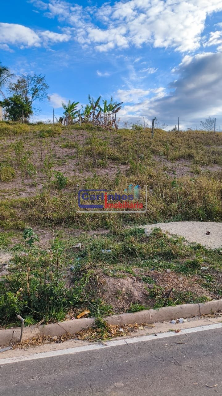 WhatsApp Image 2025-10-06 at 11.44