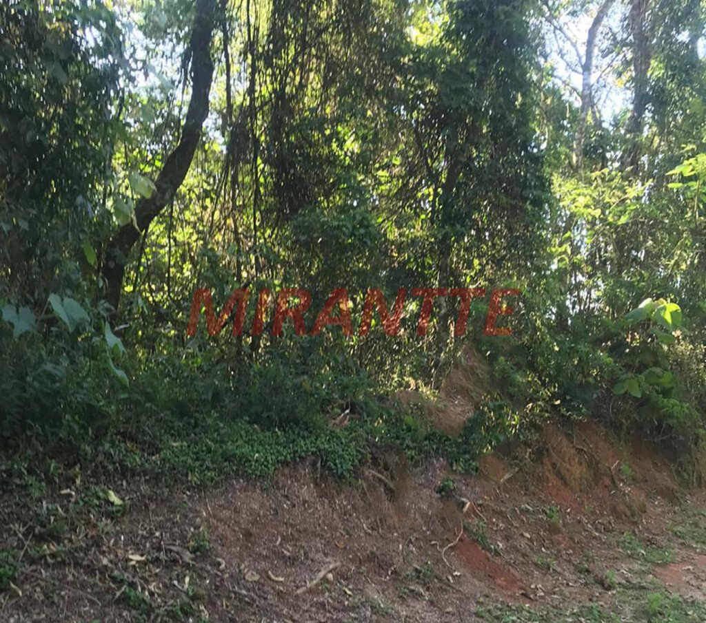 img1