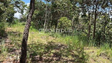 land_lot em Avenida das Oliveiras, Condomínio Ecológico Mansões Morumbi - Senador Canedo - GO