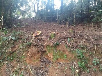 land_lot em Rua Maracaia, Vila Nova Cachoeirinha - São Paulo - SP