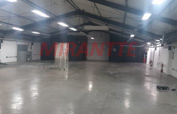 industrial em Tonelero, Vila Ipojuca - São Paulo - SP