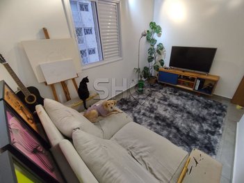 apartment em Rua Dona Ana Neri, Cambuci - São Paulo - SP