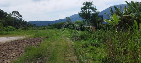 commercial_land_lot em Rodovia Doutor Antônio Luiz Moura Gonzaga, Rio Tavares - Florianópolis - SC