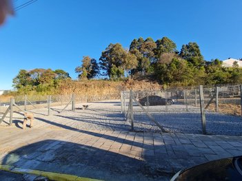 land_lot em Avenida Pedro Grendene, Parque - Farroupilha - RS