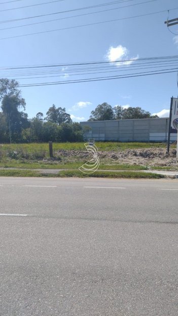 commercial_land_lot em BR-116, Três Vendas - Pelotas - RS