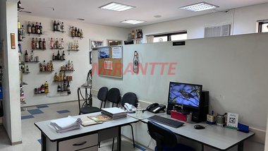office em Alfredo Guedes, Santana - São Paulo - SP