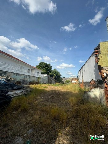 land_lot em Rua Savigni, Vila Bela - São Paulo - SP