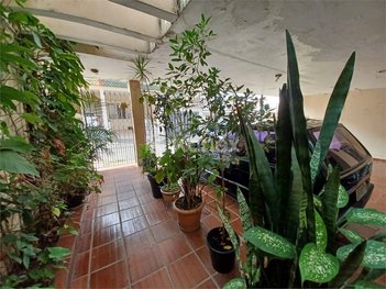house em Rua Tavares de Olanda, Vila Medeiros - São Paulo - SP