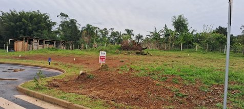 land_lot em Rodovia Alexandre Beloli, Primeira Linha - Criciúma - SC