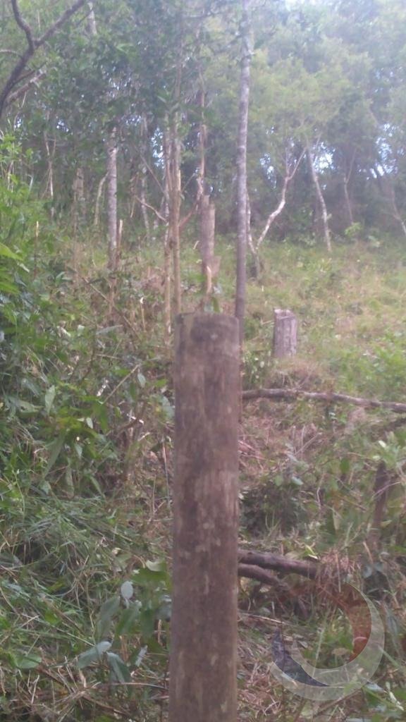 WhatsApp Image 2023-05-05 at 16.10