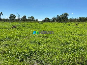 agricultural em Área Rural, Área Rural de Curvelo - Curvelo - MG