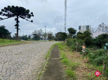 land_lot em Rua Celestino Deitos, Desvio Rizzo - Caxias do Sul - RS