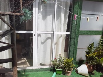 house em Rua Uicó, Vila Mariana - São Paulo - SP