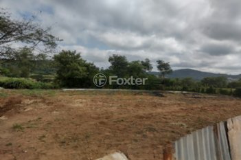 land_lot em Rua Cinamomos, Vila Nova Mazzei - São Paulo - SP