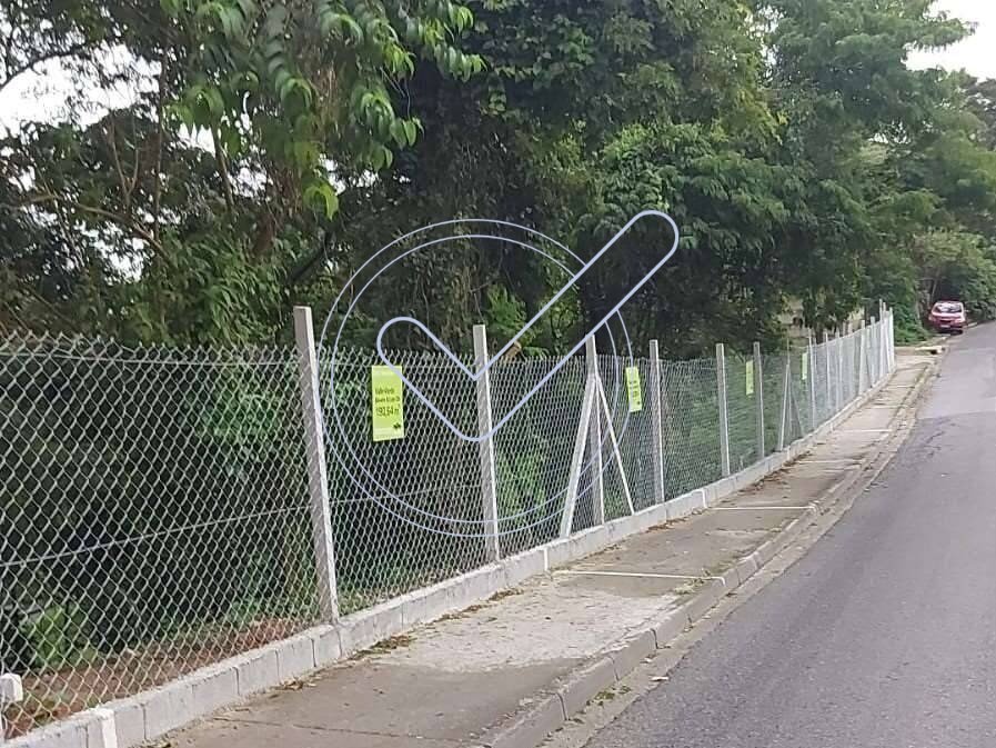 WhatsApp Image 2025-01-14 at 19.01