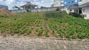 land_lot em Rua Raineri Petrini, Volta Grande - Farroupilha - RS