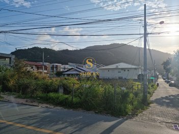 land_lot em Netuno, Ingleses do Rio Vermelho - Florianópolis - SC