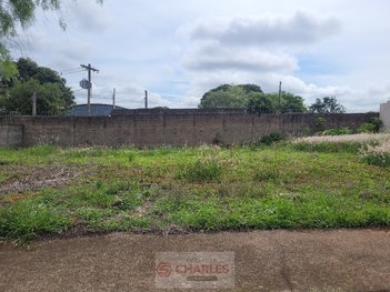 land_lot em Rua Tiago Juliano Fernandes, Parque Jardim Murayama - Mogi Mirim - SP