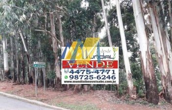 land_lot em Avenida Ceci, Tamboré - Barueri - SP