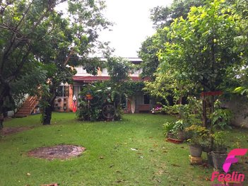 house em Laureano, Campeche - Florianópolis - SC