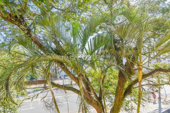 apartment em Avenida Saturnino de Brito, Vila Jardim - Porto Alegre - RS