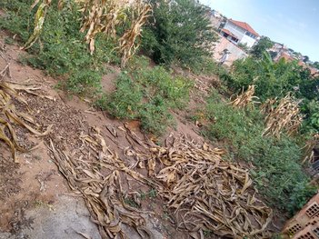 land_lot em Rua das Pitangueiras, Novo Retiro - Esmeraldas - MG