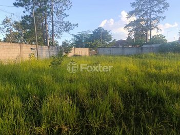 land_lot em Rua Veneza, Jardim Campestre - Guarulhos - SP