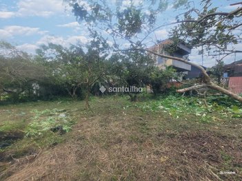 land_lot em Avenida Prefeito Acácio Garibaldi S. Thiago, Lagoa da Conceição - Florianópolis - SC