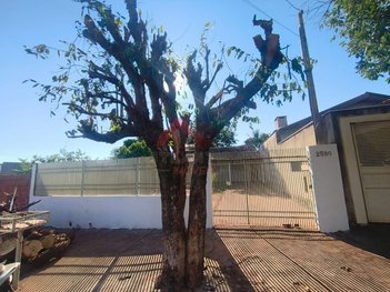 house em Rua Benjamin Constant, Vila Mineira - Andradina - SP