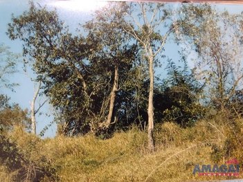 land_lot em Estrada dos Canários, Estância Porto Velho - Jacareí - SP