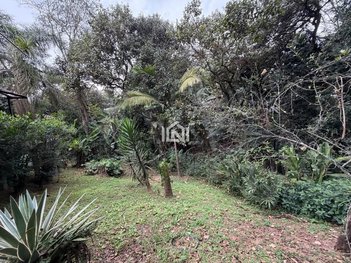 land_lot em Alameda São Luiz, Granja Viana II - Cotia - SP