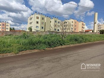 land_lot em Avenida Pintassilgo, Conjunto Residencial Ney Braga - Maringá - PR