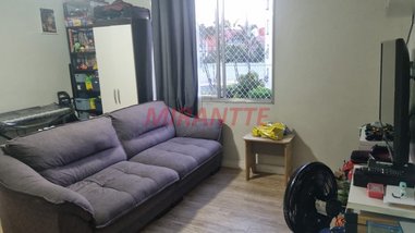 apartment em Rua José Pedro D'Oro, Vila Francos - São Paulo - SP