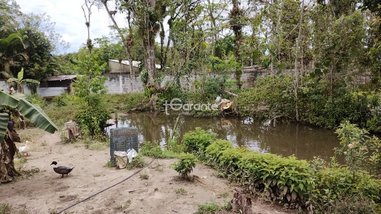 agricultural em Rua Onze, Aguapeú - Itanhaém - SP