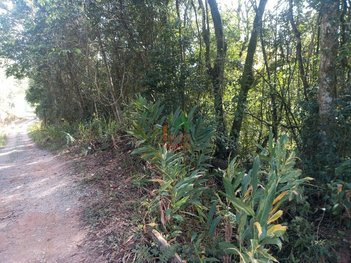 land_lot em Rua São Benedito, Grilos - Ibiúna - SP
