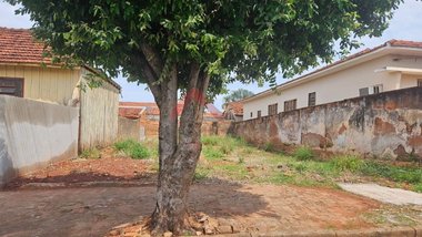 land_lot em Rua Evandro Brembati Calvoso, Centro - Andradina - SP