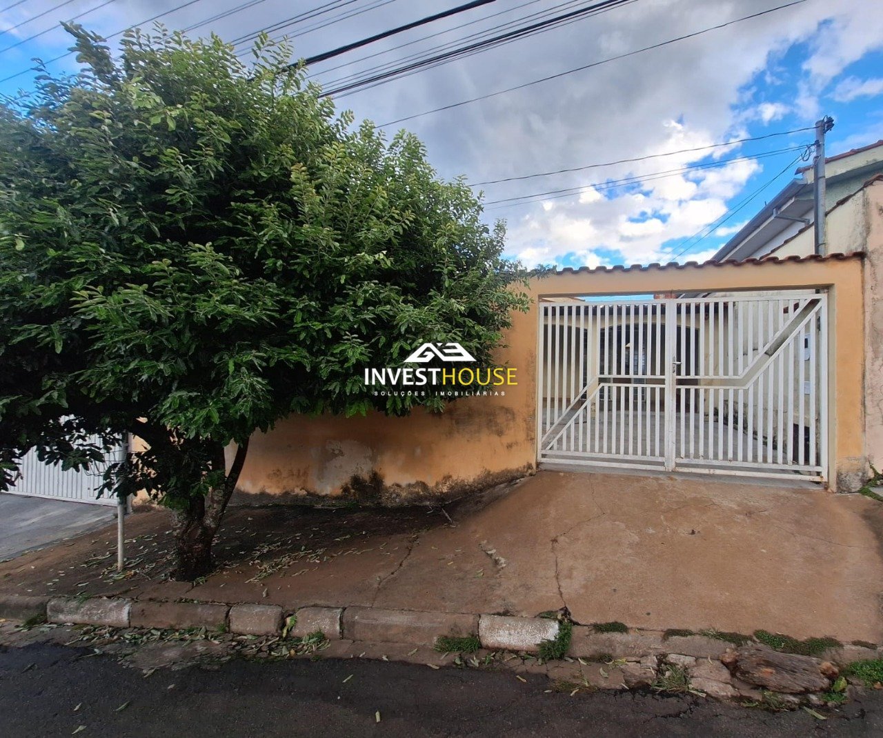 imagem1