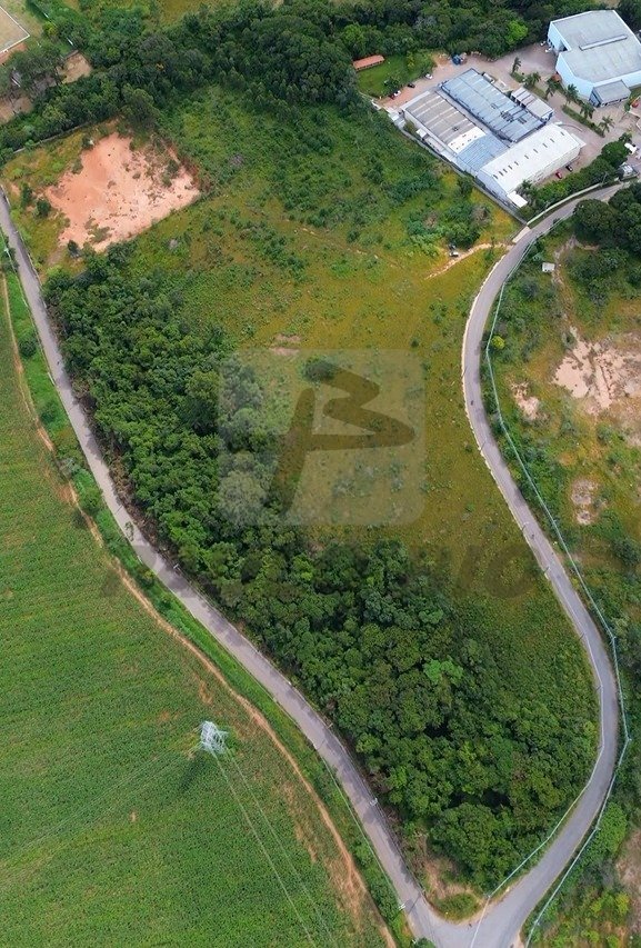 image - 2025-07-24T163348