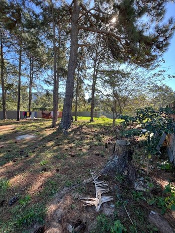 land_lot em Antenor de Souza, Ingleses do Rio Vermelho - Florianópolis - SC